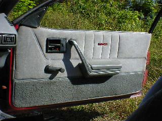 89z-left_door_panel